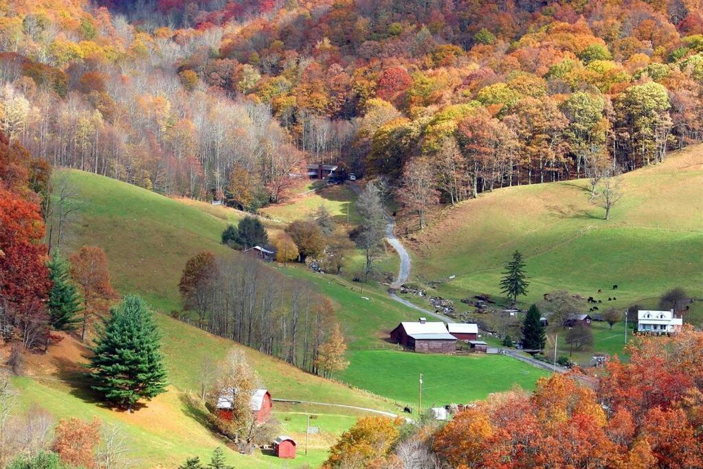 The Snow Owl Cabin Maggie Valley Exterior foto