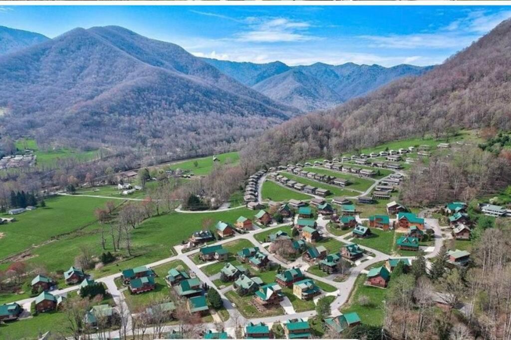 The Snow Owl Cabin Maggie Valley Exterior foto